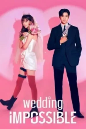 Download Wedding Impossible (Season 1) Dual Audio {Hindi-Korean} Series 480p 720p & 1080p WEB-DL