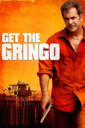Download Get the Gringo (2012) Dual Audio {Hindi-English} BluRay 480p [300MB] | 720p [900MB] | 1080p [2GB]